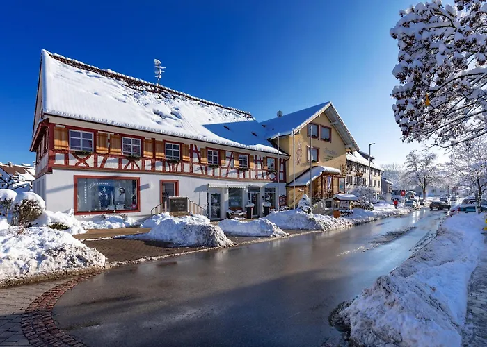 Hotel Gasthof Storchen